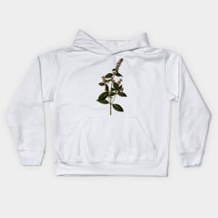 Herbal Flower Branch Kids Hoodie